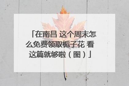 在南昌 这个周末怎么免费领取栀子花 看这篇就够啦（图）